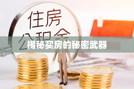 盐源揭秘买房的秘密武器