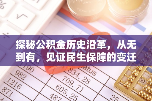 盐源探秘公积金历史沿革，从无到有，见证民生保障的变迁