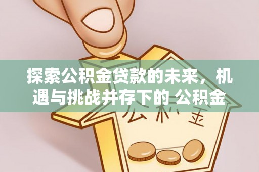 盐源探索公积金贷款的未来，机遇与挑战并存下的 公积金贷款风险防控