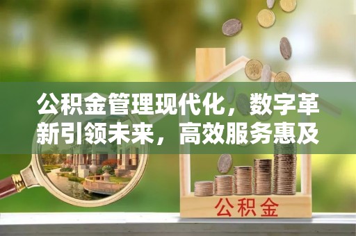 盐源公积金管理现代化，数字革新引领未来，高效服务惠及民生