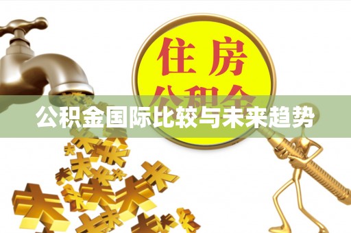 盐源公积金国际比较与未来趋势