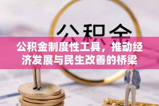 盐源公积金制度性工具，推动经济发展与民生改善的桥梁