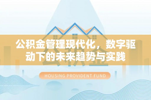 盐源公积金管理现代化，数字驱动下的未来趋势与实践