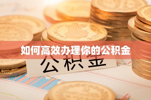 盐源如何高效办理你的公积金