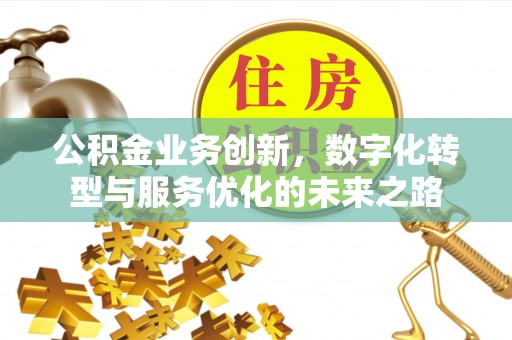 盐源公积金业务创新，数字化转型与服务优化的未来之路