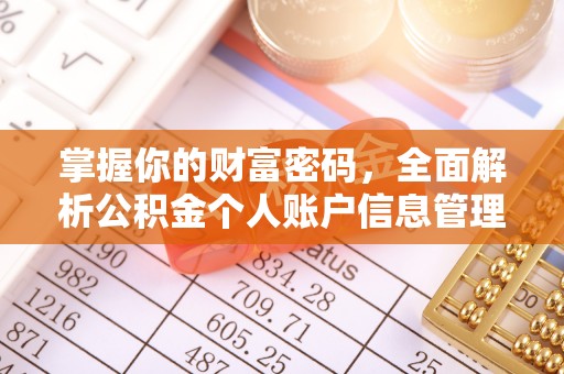 盐源掌握你的财富密码，全面解析公积金个人账户信息管理与优化