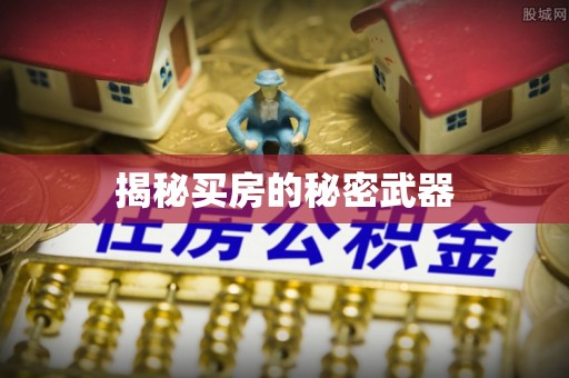 盐源揭秘买房的秘密武器