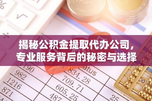 盐源揭秘公积金提取代办公司，专业服务背后的秘密与选择指南