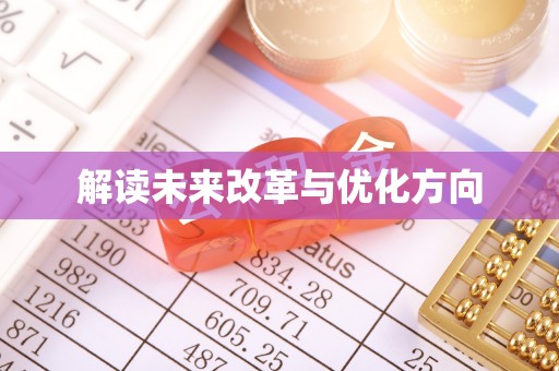 盐源解读未来改革与优化方向