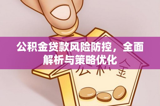 盐源公积金贷款风险防控，全面解析与策略优化