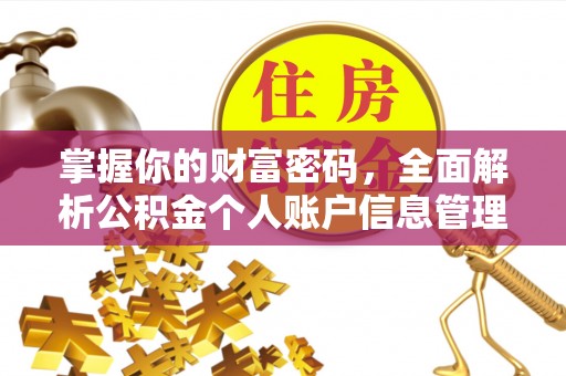 盐源掌握你的财富密码，全面解析公积金个人账户信息管理