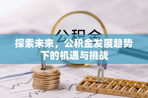 盐源探索未来，公积金发展趋势下的机遇与挑战