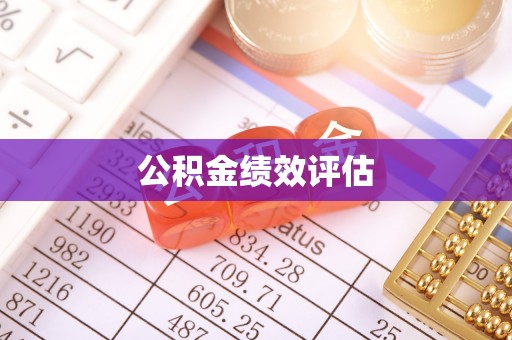 盐源公积金绩效评估